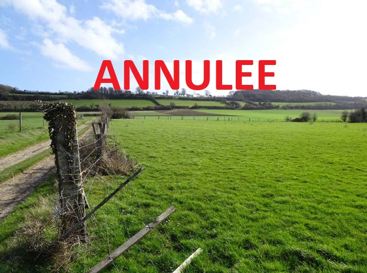 VENTE aux ENCHERES PUBLIQUES  Commune de HERBINGHEN (Pas-de-Calais)